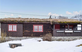 Nice Home In Rauland With Kitchen